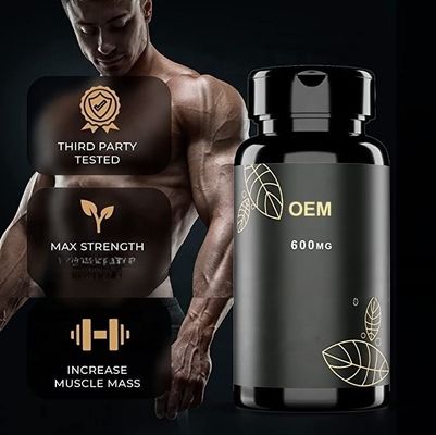OEM man power herbal long time health supplement Tongkat Ali Capsules for men