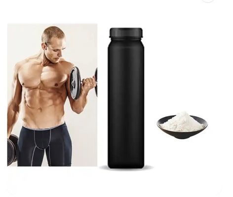 Customized Logo High Quality Sport Nutrition Gym Supplements Mass Gainer Whey Protein Isolate Bulk