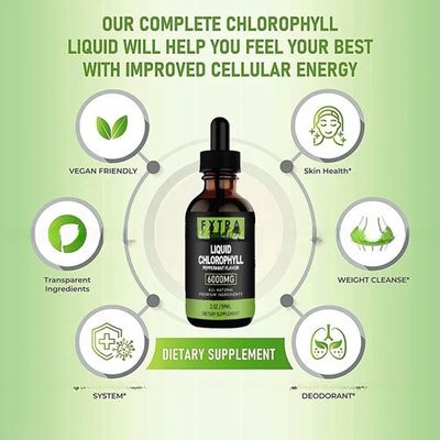 Wholesale Private label  Natural Health Energy Supplement Weight Loss Chlorophyll Liquid Drops