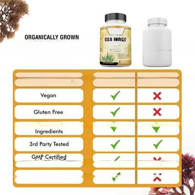 Wholesale Private label Healthcare sea moss capsule Vitamin C rich organic irish moss Health Strength Immune Detox Energy