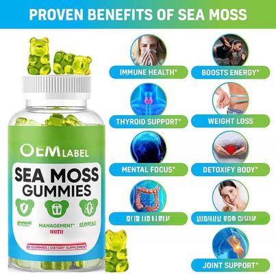 Wholesale Private label sea moss gummies  Plus Organic Bladderwrack and Burdock Root Vegan Thyroid Support Detox &amp; Gut